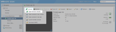 ESXi interface with the Console, and Open browser console options highlighted in the upper right.